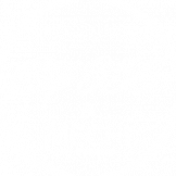 CTP 355